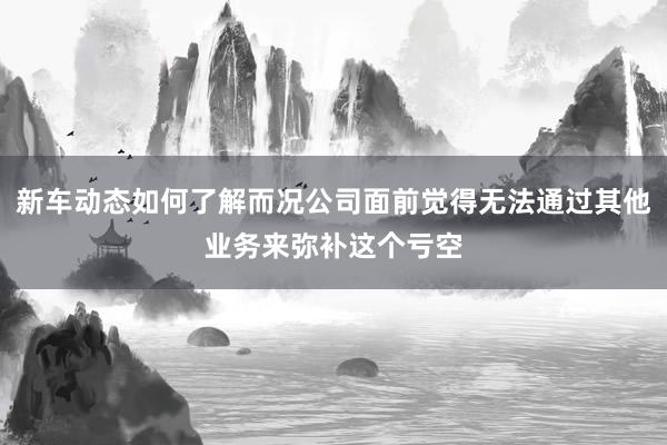 新车动态如何了解而况公司面前觉得无法通过其他业务来弥补这个亏空