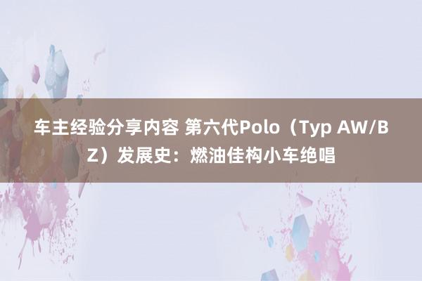 车主经验分享内容 第六代Polo（Typ AW/BZ）发展史：燃油佳构小车绝唱