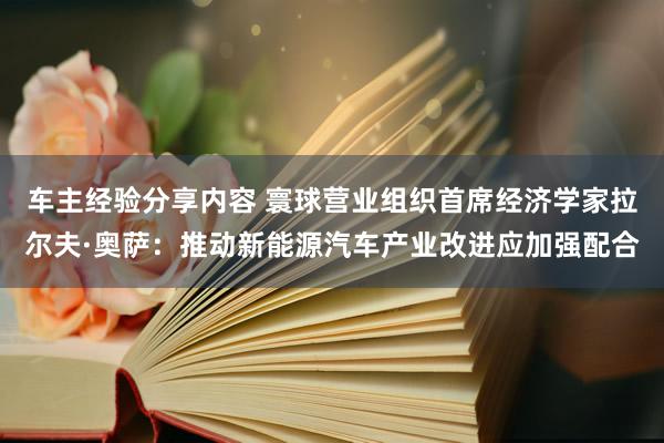 车主经验分享内容 寰球营业组织首席经济学家拉尔夫·奥萨：推动新能源汽车产业改进应加强配合