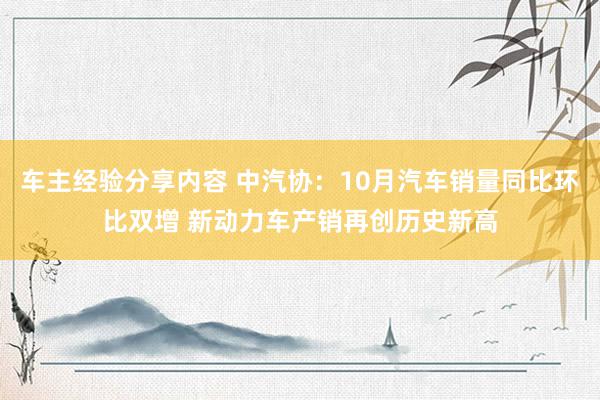 车主经验分享内容 中汽协：10月汽车销量同比环比双增 新动力车产销再创历史新高