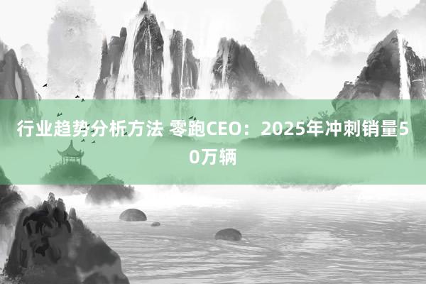 行业趋势分析方法 零跑CEO：2025年冲刺销量50万辆