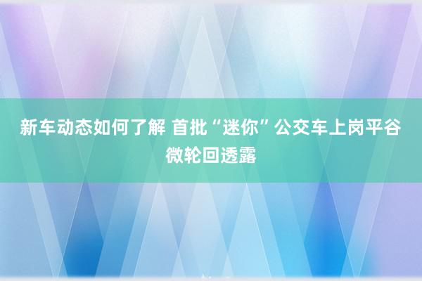 新车动态如何了解 首批“迷你”公交车上岗平谷微轮回透露