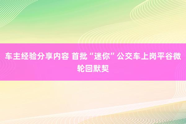 车主经验分享内容 首批“迷你”公交车上岗平谷微轮回默契