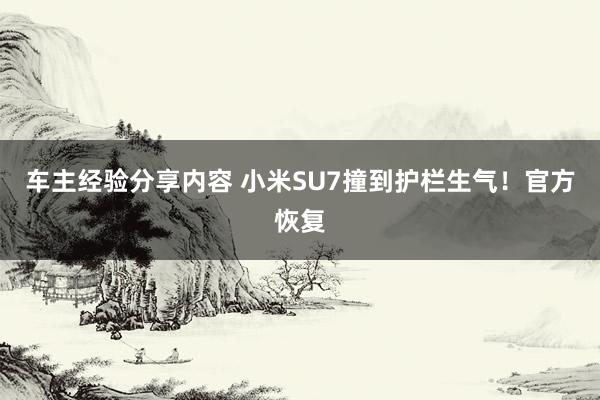 车主经验分享内容 小米SU7撞到护栏生气！官方恢复