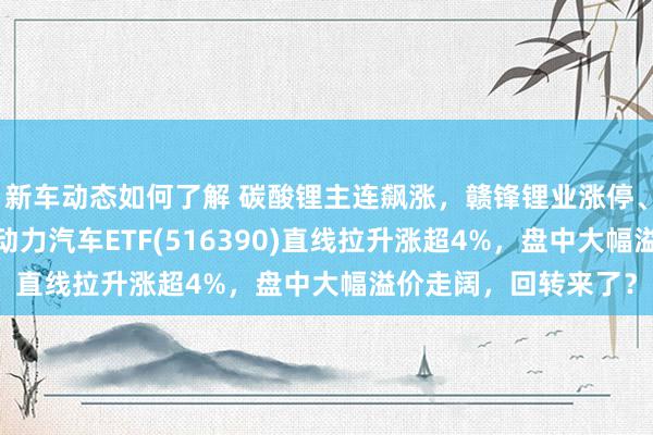 新车动态如何了解 碳酸锂主连飙涨，赣锋锂业涨停、宁德时间涨3%，新动力汽车ETF(516390)直线拉升涨超4%，盘中大幅溢价走阔，回转来了？