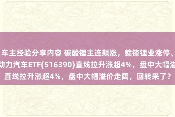 车主经验分享内容 碳酸锂主连飙涨，赣锋锂业涨停、宁德期间涨3%，新动力汽车ETF(516390)直线拉升涨超4%，盘中大幅溢价走阔，回转来了？