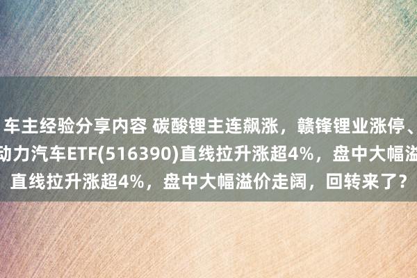 车主经验分享内容 碳酸锂主连飙涨，赣锋锂业涨停、宁德时间涨3%，新动力汽车ETF(516390)直线拉升涨超4%，盘中大幅溢价走阔，回转来了？