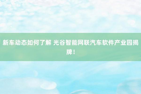 新车动态如何了解 光谷智能网联汽车软件产业园揭牌！