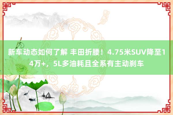 新车动态如何了解 丰田折腰！4.75米SUV降至14万+，5L多油耗且全系有主动刹车