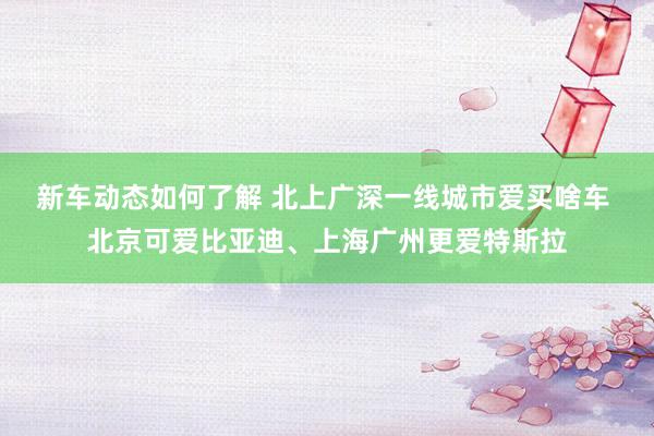 新车动态如何了解 北上广深一线城市爱买啥车 北京可爱比亚迪、上海广州更爱特斯拉