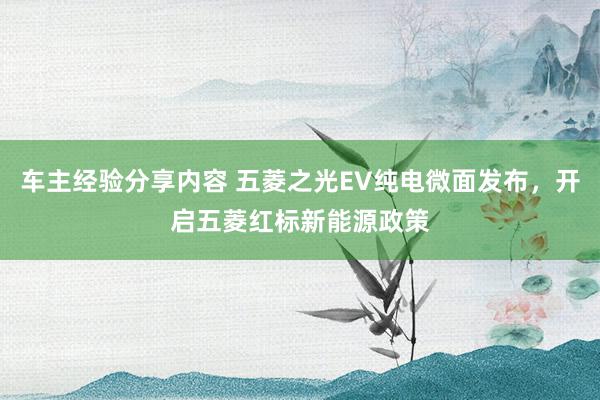 车主经验分享内容 五菱之光EV纯电微面发布，开启五菱红标新能源政策