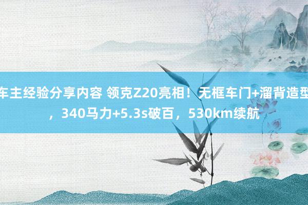 车主经验分享内容 领克Z20亮相！无框车门+溜背造型，340马力+5.3s破百，530km续航