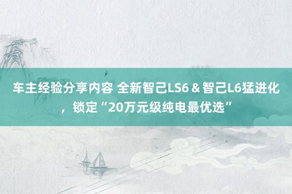 车主经验分享内容 全新智己LS6＆智己L6猛进化，锁定“20万元级纯电最优选”