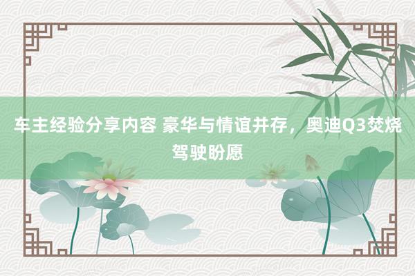 车主经验分享内容 豪华与情谊并存，奥迪Q3焚烧驾驶盼愿