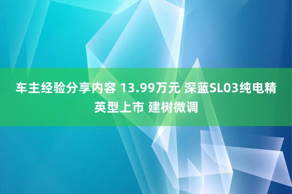 车主经验分享内容 13.99万元 深蓝SL03纯电精英型上市 建树微调