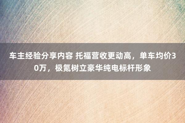 车主经验分享内容 托福营收更动高，单车均价30万，极氪树立豪华纯电标杆形象