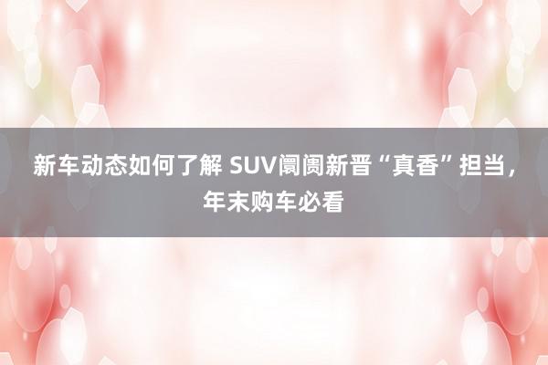 新车动态如何了解 SUV阛阓新晋“真香”担当，年末购车必看