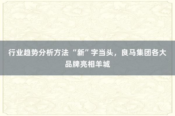 行业趋势分析方法 “新”字当头，良马集团各大品牌亮相羊城