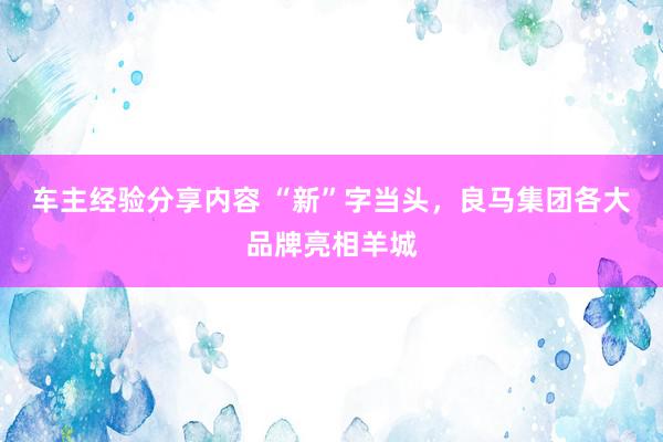 车主经验分享内容 “新”字当头，良马集团各大品牌亮相羊城