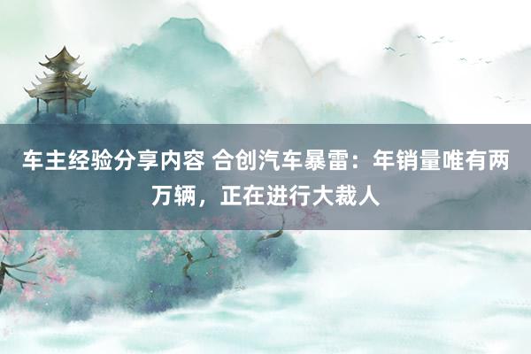 车主经验分享内容 合创汽车暴雷：年销量唯有两万辆，正在进行大裁人