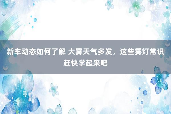 新车动态如何了解 大雾天气多发，这些雾灯常识赶快学起来吧