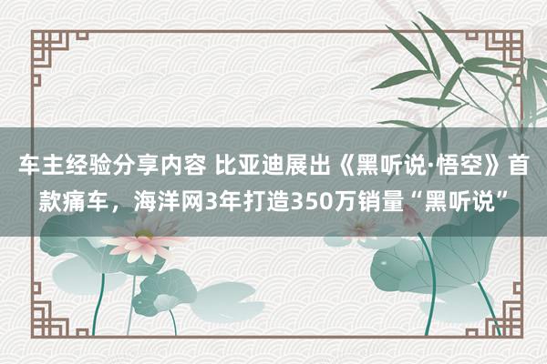 车主经验分享内容 比亚迪展出《黑听说·悟空》首款痛车，海洋网3年打造350万销量“黑听说”