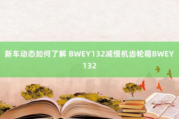 新车动态如何了解 BWEY132减慢机齿轮箱BWEY132