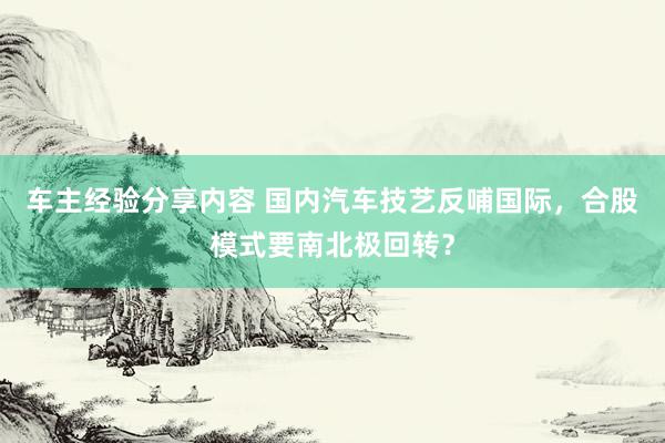 车主经验分享内容 国内汽车技艺反哺国际，合股模式要南北极回转？