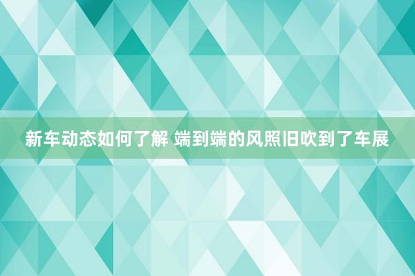 新车动态如何了解 端到端的风照旧吹到了车展