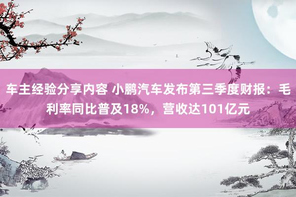 车主经验分享内容 小鹏汽车发布第三季度财报：毛利率同比普及18%，营收达101亿元