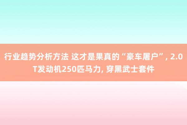 行业趋势分析方法 这才是果真的“豪车屠户”, 2.0T发动机250匹马力, 穿黑武士套件