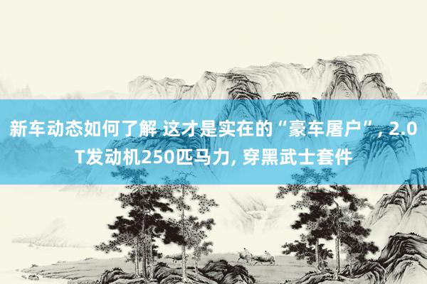 新车动态如何了解 这才是实在的“豪车屠户”, 2.0T发动机250匹马力, 穿黑武士套件