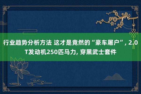 行业趋势分析方法 这才是竟然的“豪车屠户”, 2.0T发动机250匹马力, 穿黑武士套件