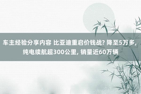 车主经验分享内容 比亚迪重启价钱战? 降至5万多, 纯电续航超300公里, 销量近60万辆