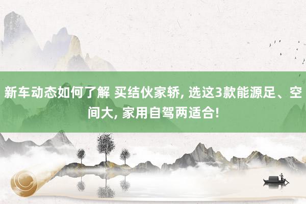 新车动态如何了解 买结伙家轿, 选这3款能源足、空间大, 家用自驾两适合!