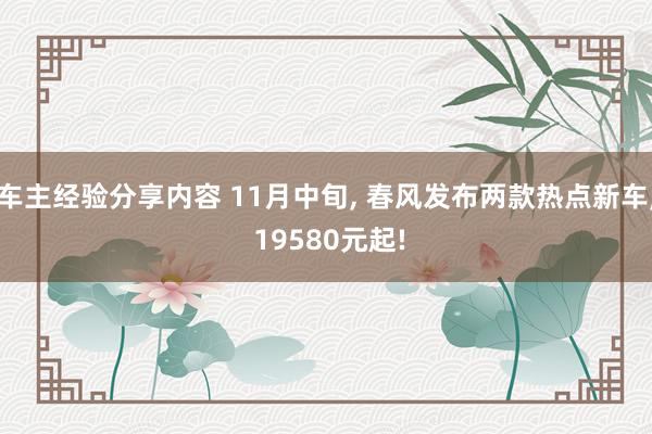 车主经验分享内容 11月中旬, 春风发布两款热点新车, 19580元起!