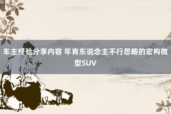 车主经验分享内容 年青东说念主不行忽略的宏构微型SUV