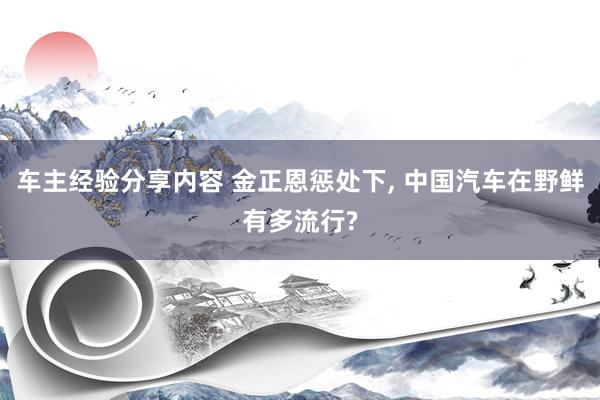 车主经验分享内容 金正恩惩处下, 中国汽车在野鲜有多流行?