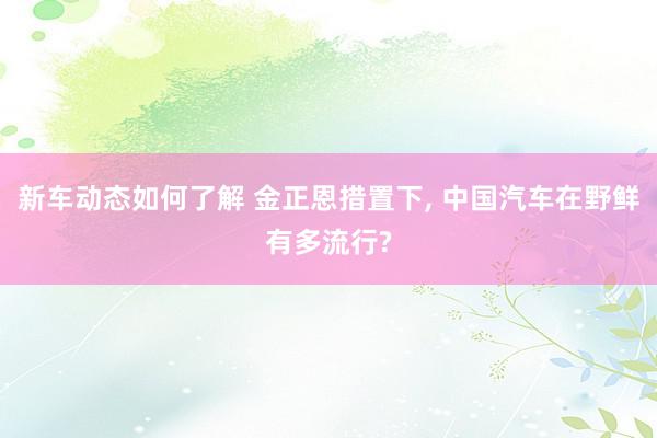 新车动态如何了解 金正恩措置下, 中国汽车在野鲜有多流行?