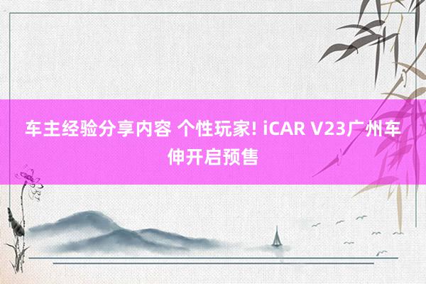 车主经验分享内容 个性玩家! iCAR V23广州车伸开启预售