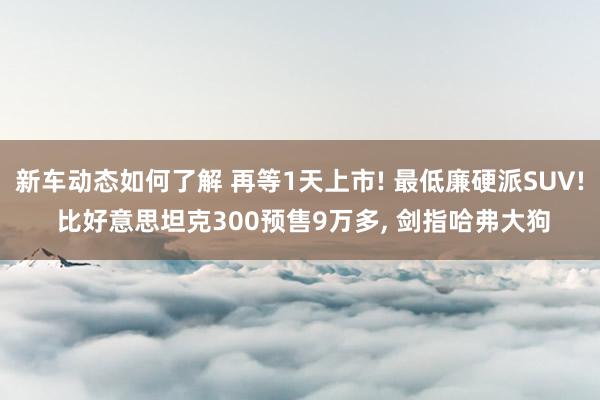 新车动态如何了解 再等1天上市! 最低廉硬派SUV! 比好意思坦克300预售9万多, 剑指哈弗大狗