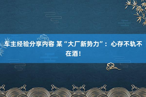 车主经验分享内容 某“大厂新势力”：心存不轨不在酒！