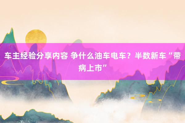 车主经验分享内容 争什么油车电车？半数新车“带病上市”