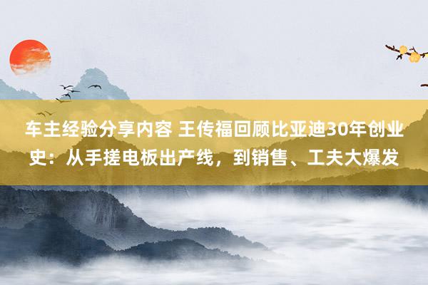 车主经验分享内容 王传福回顾比亚迪30年创业史：从手搓电板出产线，到销售、工夫大爆发