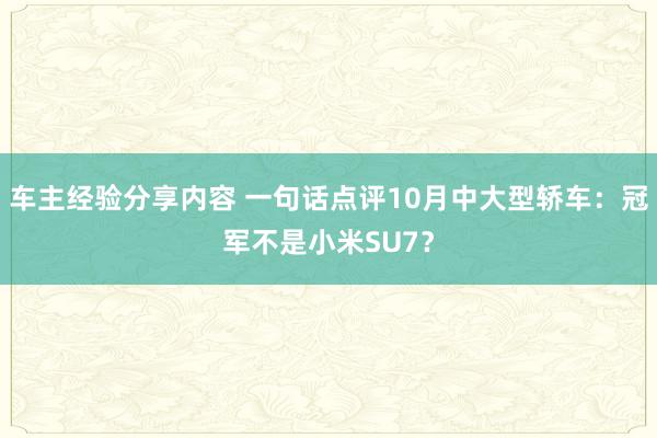 车主经验分享内容 一句话点评10月中大型轿车：冠军不是小米SU7？