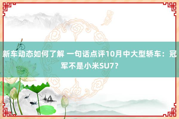 新车动态如何了解 一句话点评10月中大型轿车：冠军不是小米SU7？