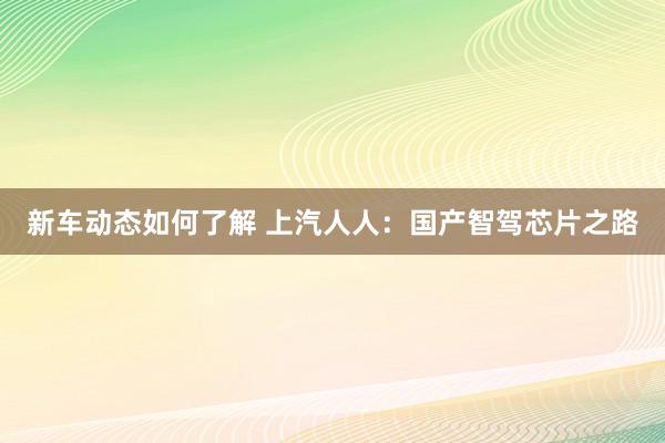 新车动态如何了解 上汽人人：国产智驾芯片之路