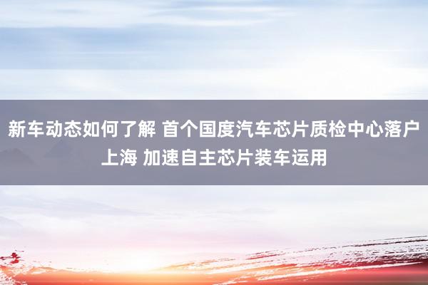 新车动态如何了解 首个国度汽车芯片质检中心落户上海 加速自主芯片装车运用