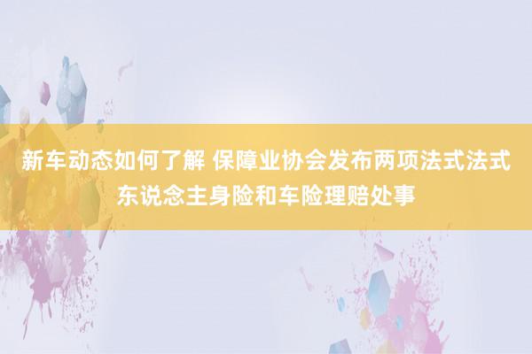 新车动态如何了解 保障业协会发布两项法式法式东说念主身险和车险理赔处事