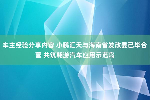 车主经验分享内容 小鹏汇天与海南省发改委已毕合营 共筑翱游汽车应用示范岛